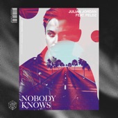 Nobody Knows (feat. Feldz) artwork