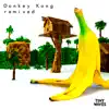 Donkey Kong Country song lyrics