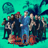 Palm Trees and 80 Degrees - The Dualers