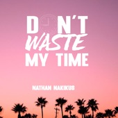 Don't Waste My Time artwork