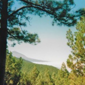 Teide artwork