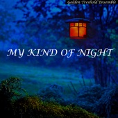 My Kind of Night artwork