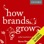 How Brands Grow: What Marketers Don't Know (Unabridged)