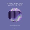 What Are We Waiting For - Single