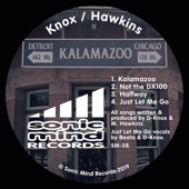 Kalamazoo - EP artwork
