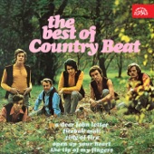 The Best of Country Beat artwork