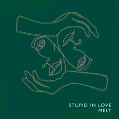 Stupid in Love - Single