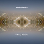 Calming Moments artwork