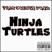 Ninja Turtles artwork