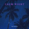 Calm Night - Single