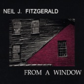 Neil J. Fitzgerald - From a Window