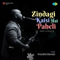 Zindagi Kaisi Hai Paheli (Unplugged) Song Lyrics
