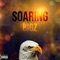 Soaring - BIGZ lyrics