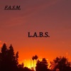 L.A.B.S.