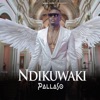 Ndikuwaki - Single