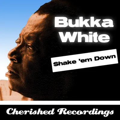 Shake 'em Down - Bukka White