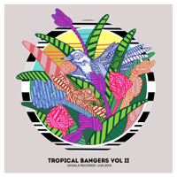 Various Artists - Tropical Bangers, Vol. II artwork