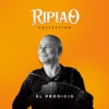 Ripiao Collection