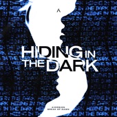 Hiding in the Dark artwork