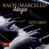 Concerto in D Minor (After Alessandro Marcello), BWV 974: II. Adagio artwork