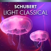 Franz Schubert - 4 Impromptus, D. 899: No. 3, Impromptu in G-Flat Major