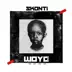 Woyo album cover