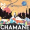 Good Vibes on You (feat. Dok2) - Chamane lyrics