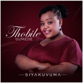 Nkulunkulu Wokulunga (feat. Sipho Mbhele) artwork
