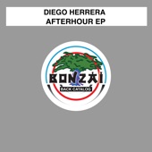 Diego Herrera - No Idea What I'm Doin'