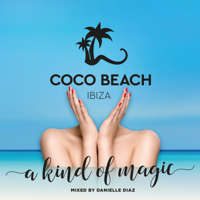 Danielle Diaz - Coco Beach Ibiza, Vol. 8 artwork