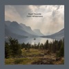 Calm Wilderness - Single