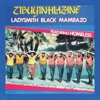 Zibuyinhlazane (feat. Homeless)