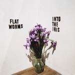 Flat Worms - Scattered Palms...