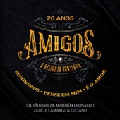 Sinônimos / Pense Em Mim / É o Amor (feat. Amigos) artwork