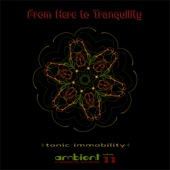 From Here to Tranquility, Vol. 11 artwork