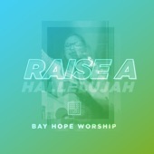 Raise a Hallelujah artwork