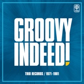 Groovy Indeed! Trio Records / 1971-1981 artwork