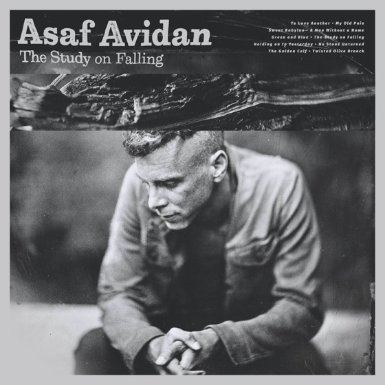 Cover artwork for The Study on Falling