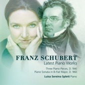 Piano Sonata No. 21 in B-Flat Major, D. 960: III. Scherzo (Allegro vivace con delicatezza - Trio) artwork