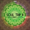 Soul Trip II