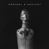 Control & Destroy - EP artwork
