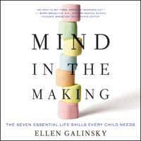 Ellen Galinsky - Mind in the Making artwork