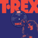 Telegram Sam (Alternate Version October 1971) - T. Rex