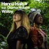 Waloy (feat. Diama N'Diaye)