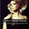 Lovely Mood House 3: A Collection of Deep & Soulful House Tunes