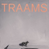 TRAAMS - Costner