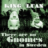 There Are No Gnomes in Sweden artwork