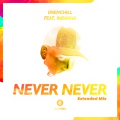 Never Never (feat. Indiiana) [Extended Mix] artwork