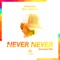Never Never (feat. Indiiana) [Extended Mix] artwork