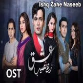 Ishq Zahe Naseeb artwork